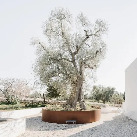 Bed & Breakfast Masseria Dagilupi Ostuni