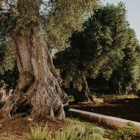 Masseria Dagilupi 오스투니