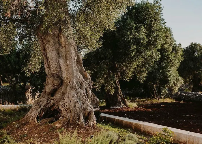 Masseria Dagilupi Ostuni